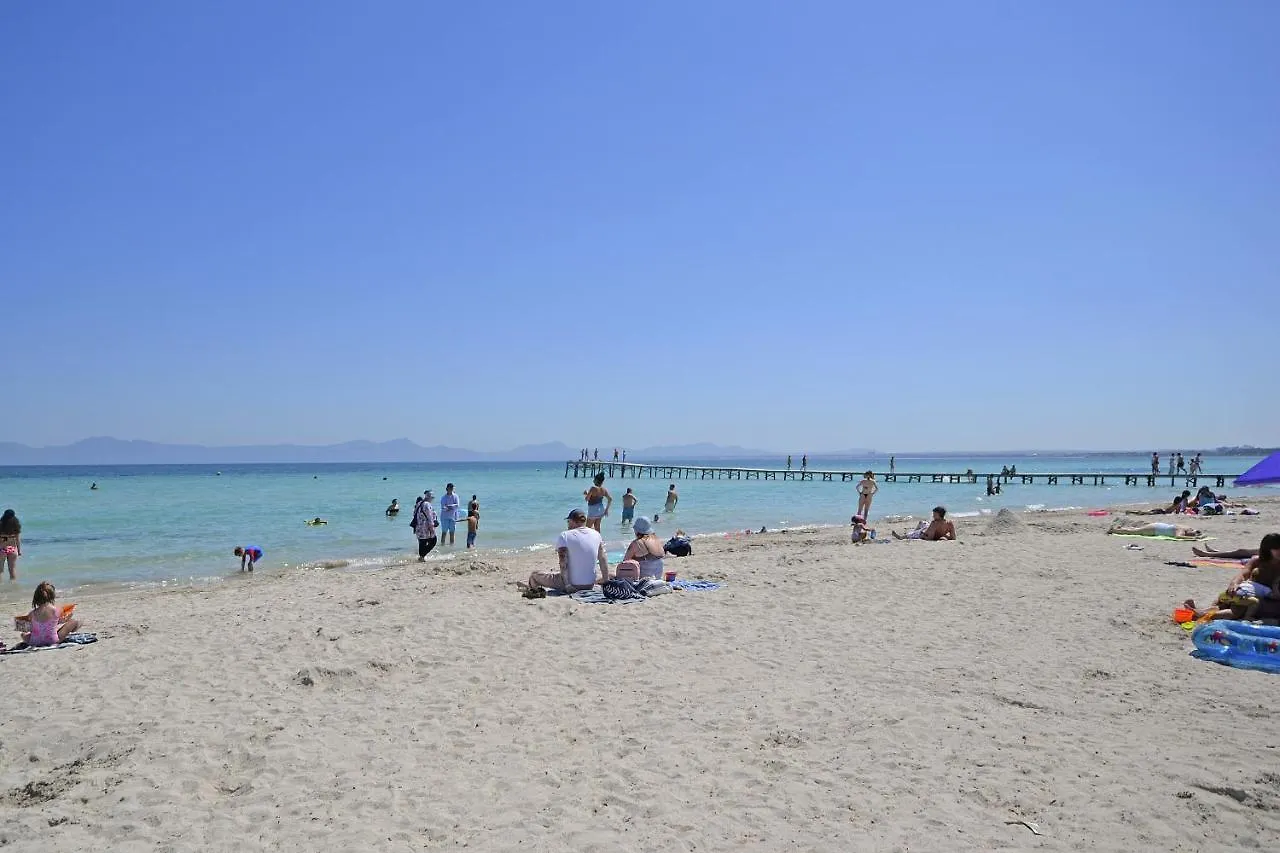 Oliva Apartament Alcudia  Apartment